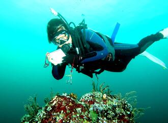 Ekspedisi Zooxanthellae XVII Kelompok mahasiswa dari Fisheries Diving Club IPB University (FDC-IPB)  melakukan penyelaman di Perairan Pulau Gorom, Koon dan Grogos Seram Bagian Timur Maluku